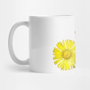 Spring flowers Mug